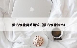 桂阳蒸汽节能网站建设（蒸汽节能技术）